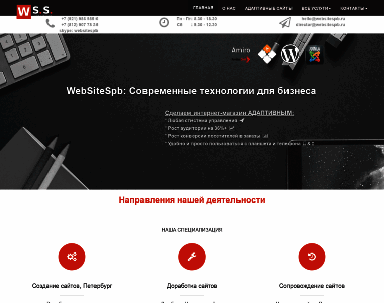 Websitespb.ru thumbnail