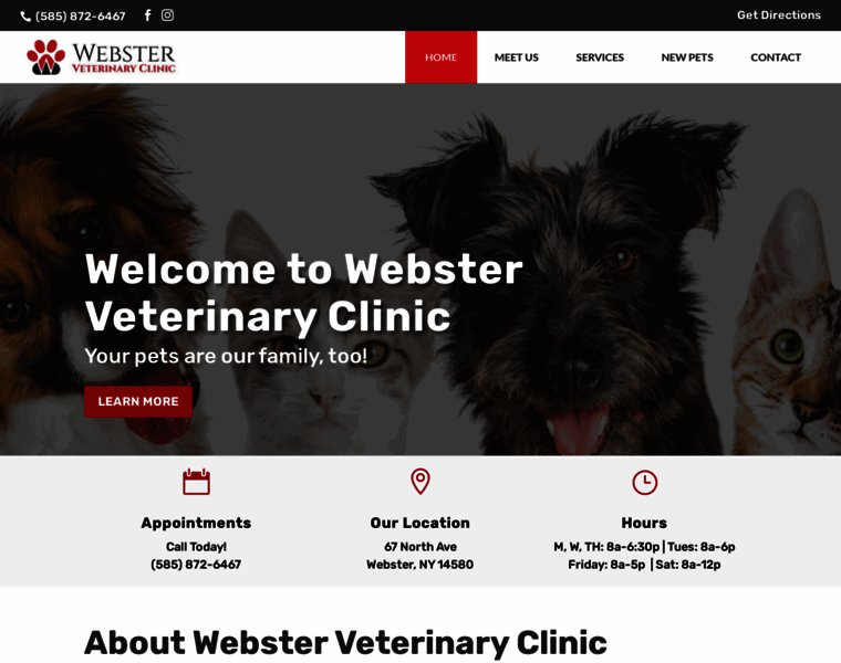 Websterveterinaryclinic.net thumbnail