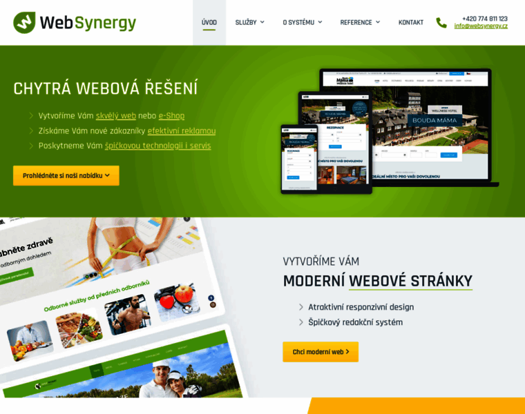Websynergy.cz thumbnail