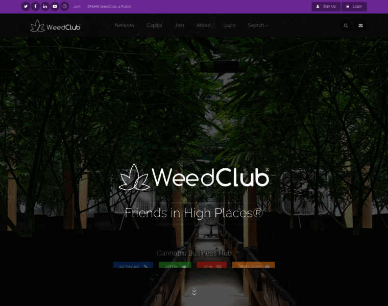 Weedclub.com thumbnail