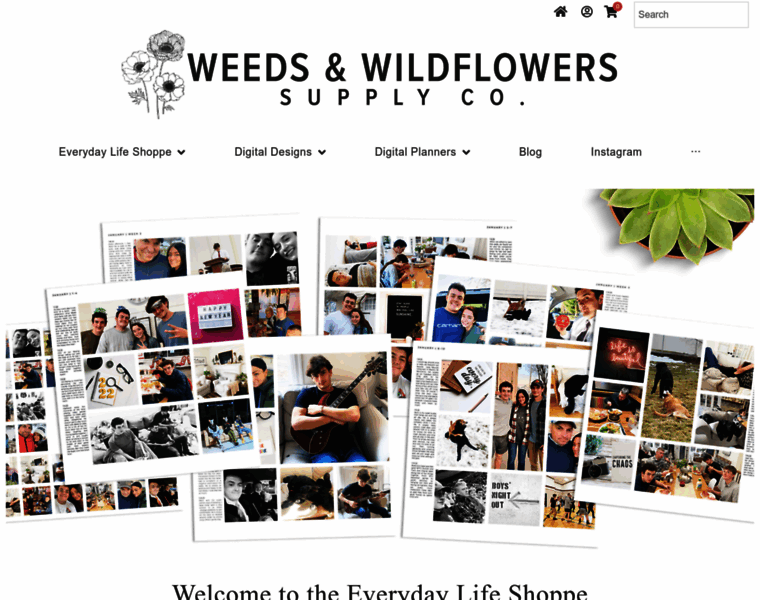 Weedsandwildflowersdesign.com thumbnail
