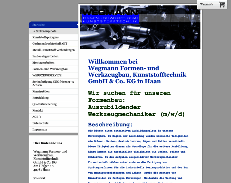 Wegmann-wzb.de thumbnail