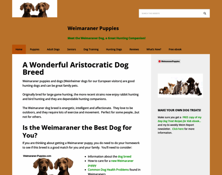 Weimaraner-puppies.com thumbnail