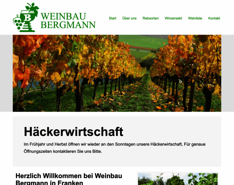 Weinbau-bergmann.de thumbnail