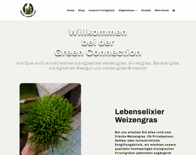 Weizengras.de thumbnail