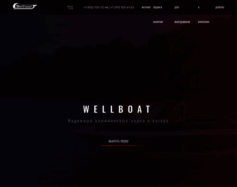 Wellboat-spb.ru thumbnail