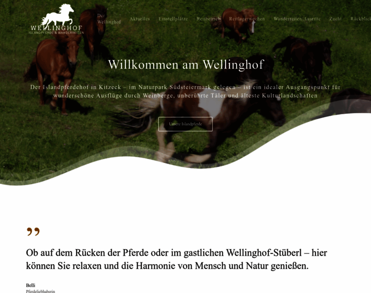Wellinghof.at thumbnail