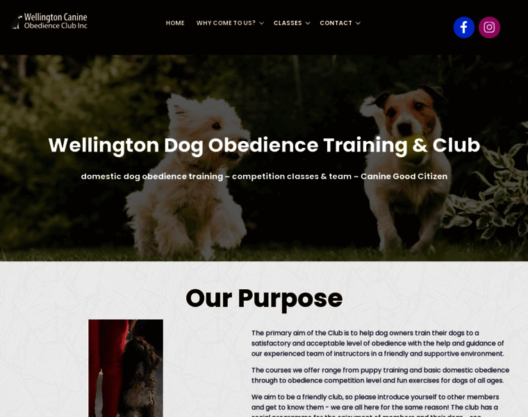 Wellingtondogtraining.nz thumbnail