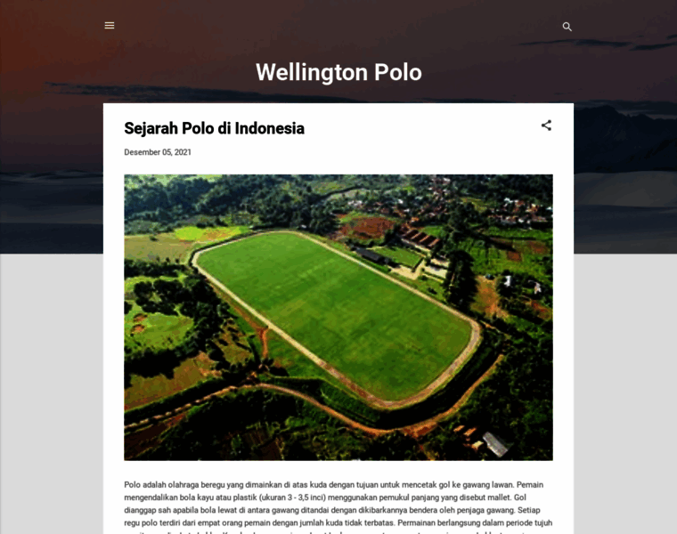 Wellingtonpolo.net thumbnail