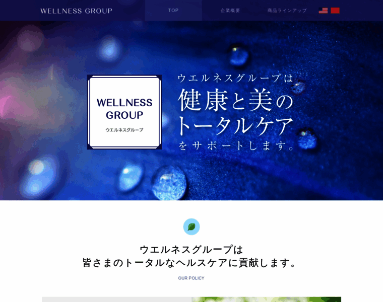 Wellnessjapan.co.jp thumbnail