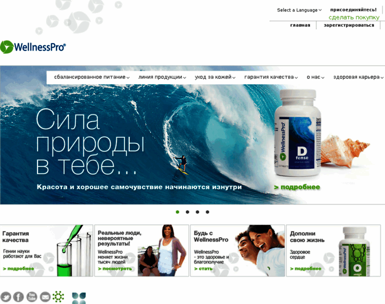 Wellnesspro.ru thumbnail