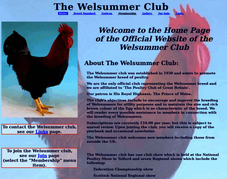 Welsummer.club thumbnail
