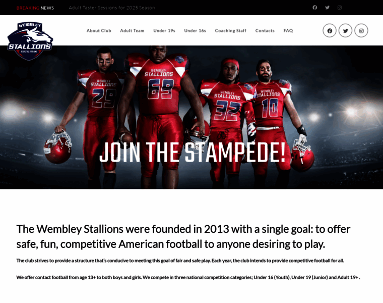 Wembleystallions.co.uk thumbnail