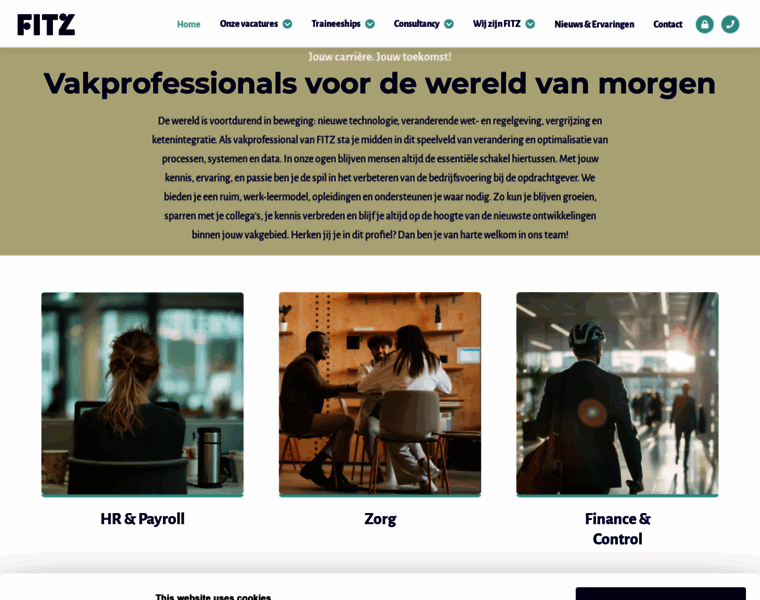 Werkenbijfitz.nl thumbnail