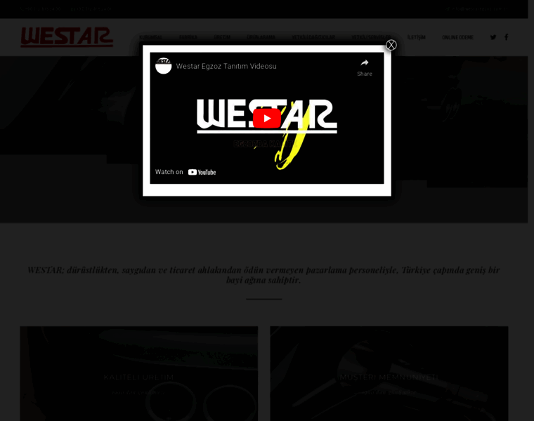 Westaregzoz.com.tr thumbnail