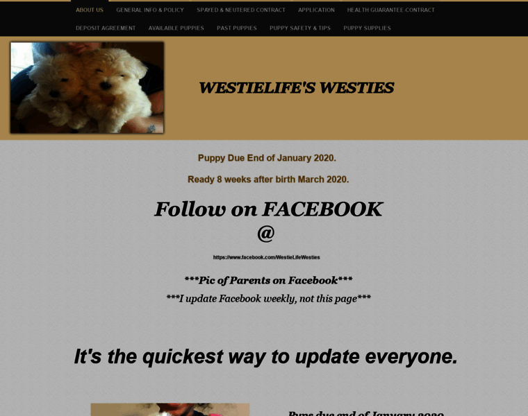 Westielife.net thumbnail
