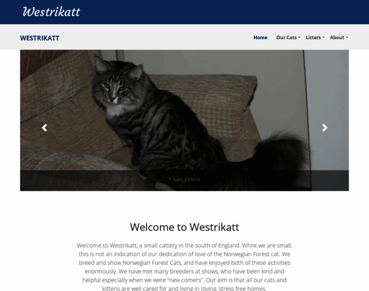 Westrikatt.co.uk thumbnail