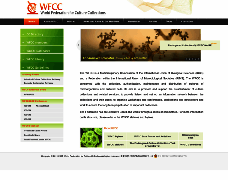 Wfcc.info thumbnail