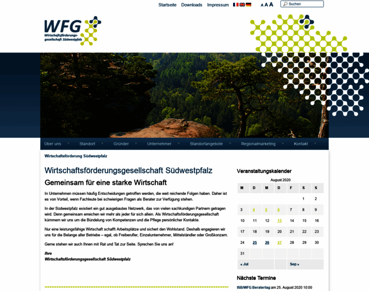 Wfg-suedwestpfalz.de thumbnail