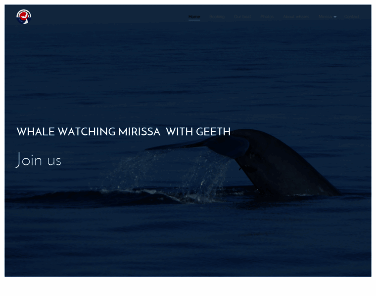 Whale-watching-mirissa.com thumbnail