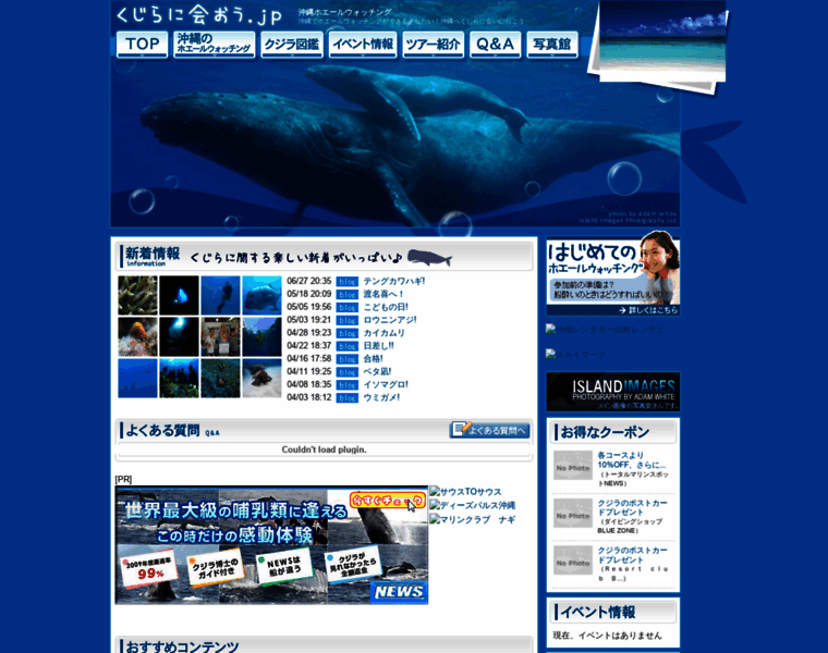 Whale-watching.jp thumbnail