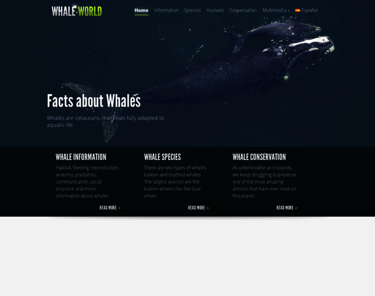 Whale-world.com thumbnail