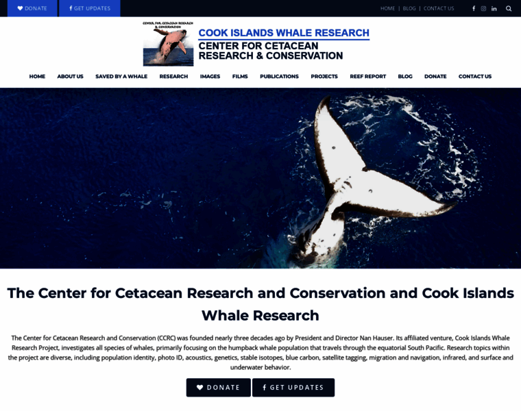 Whaleresearch.org thumbnail