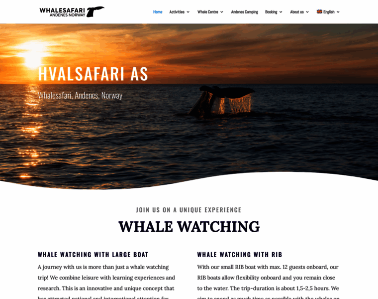 Whalesafari.no thumbnail