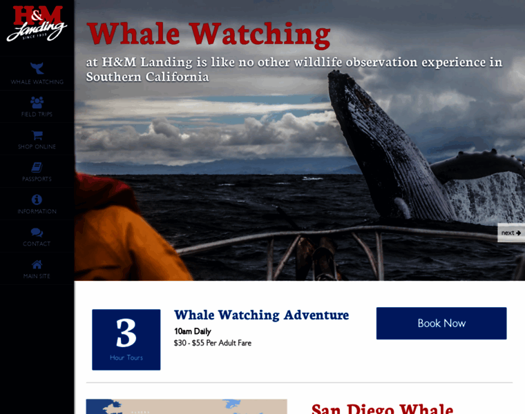 Whalewatchingathmlanding.com thumbnail