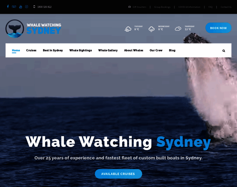 Whalewatchingsydney.com.au thumbnail