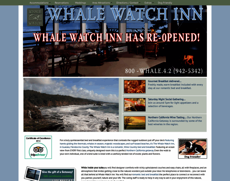 Whalewatchinn.com thumbnail