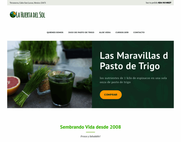 Wheatgrassloscabos.com thumbnail Wheatgrassloscabos.com thumbnail