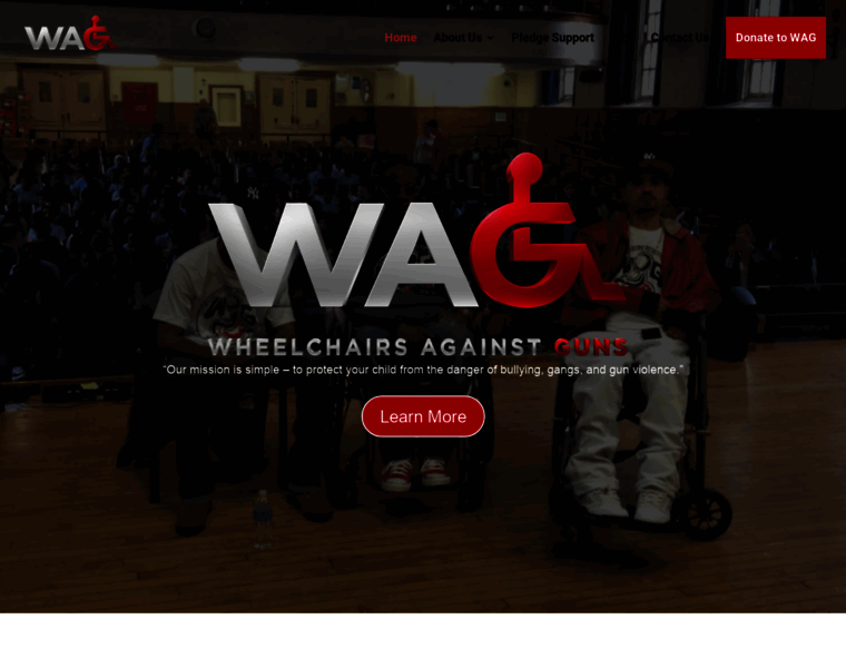 Wheelchairsagainstguns.org thumbnail