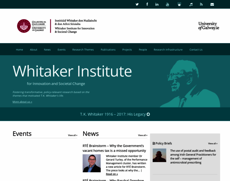 Whitakerinstitute.ie thumbnail