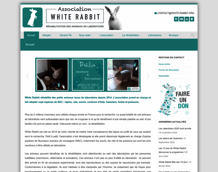 white-rabbit.org at WI. White Rabbit – Réhabilitation des petits ...