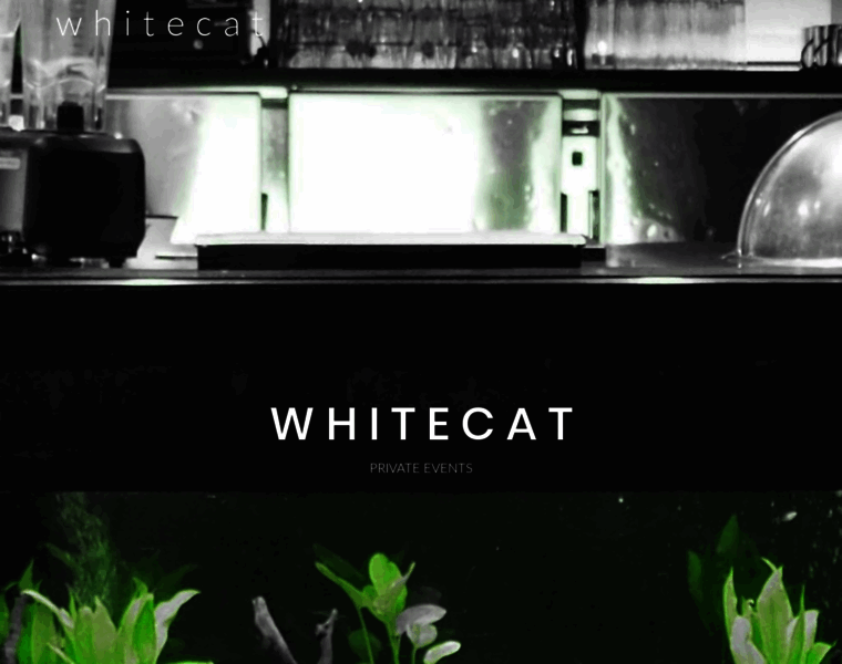 Whitecat.be thumbnail