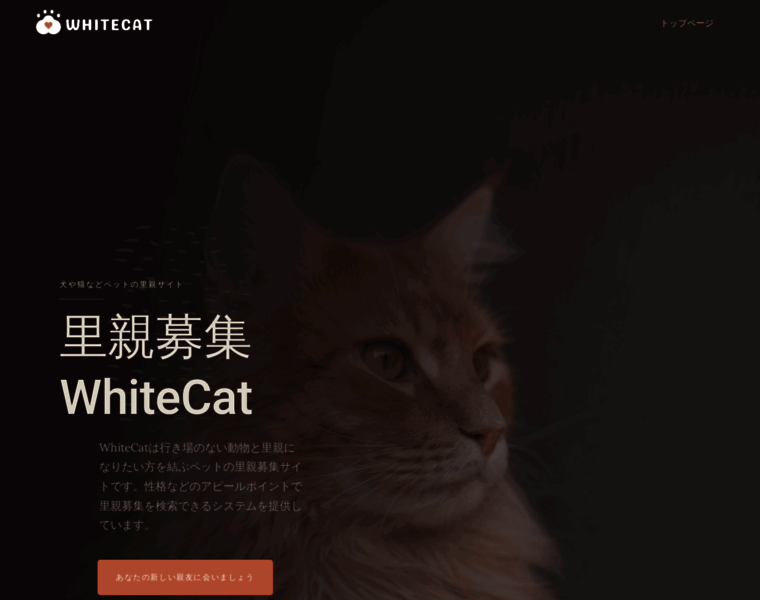 Whitecat.jp thumbnail