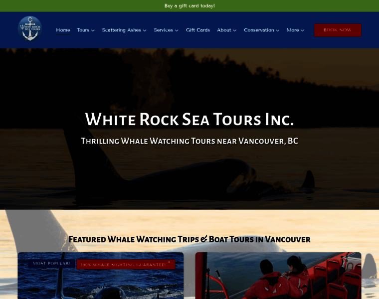 Whiterockseatours.com thumbnail
