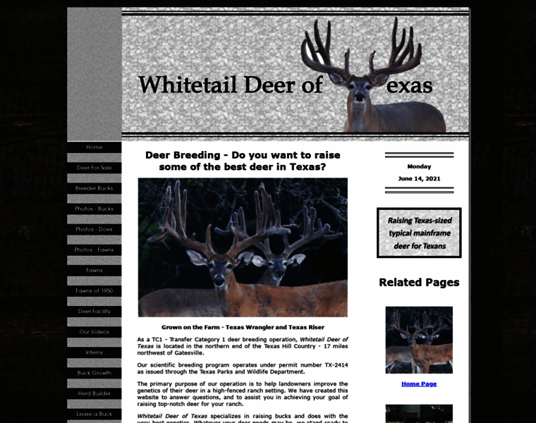 Whitetail-deer-of-texas.com thumbnail