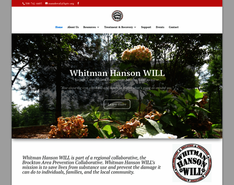 Whitmanhansonwill.org thumbnail