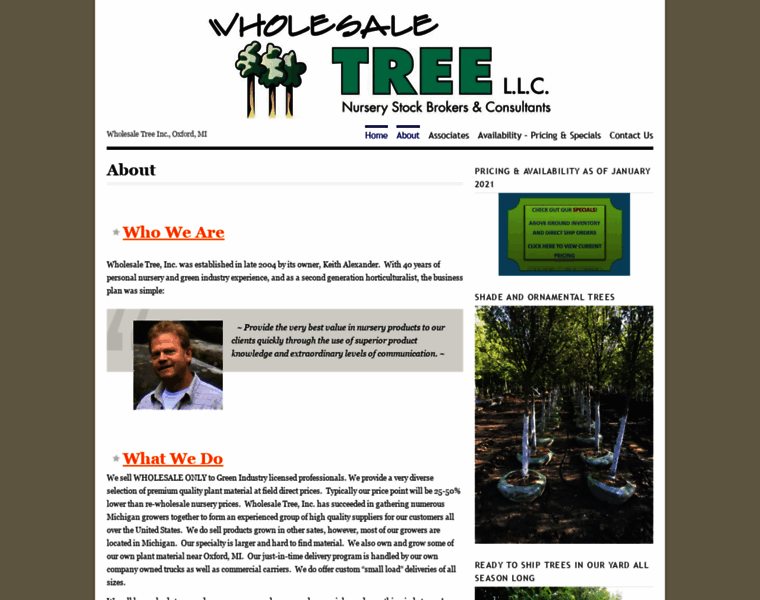 Wholesaletreesllc.wordpress.com thumbnail