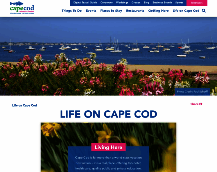 Whycapecod.org thumbnail