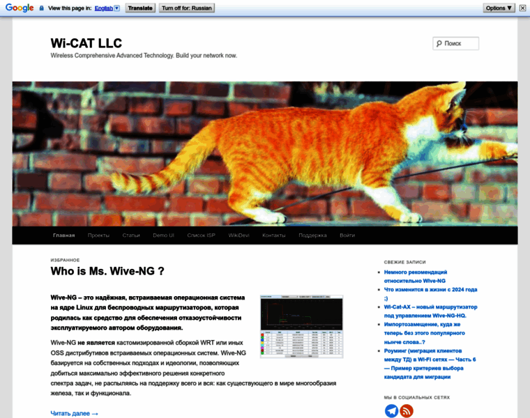 Wi-cat.ru thumbnail