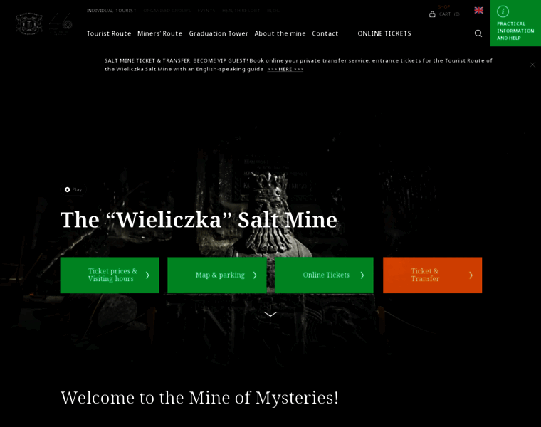 Wieliczka-saltmine.com thumbnail