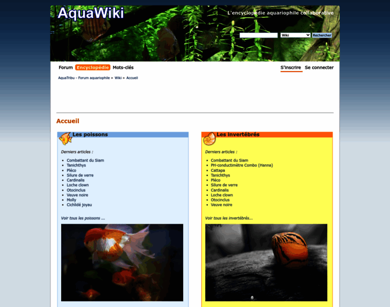 Wiki.aquatribu.com thumbnail