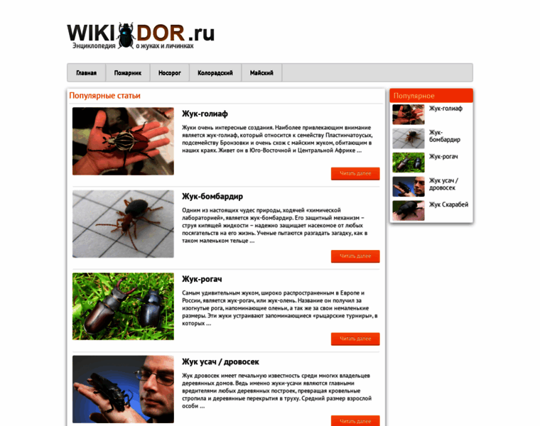 Wikidor.ru thumbnail
