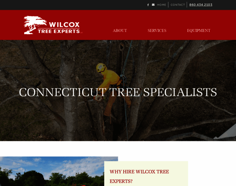 Wilcoxtreeexperts.com thumbnail