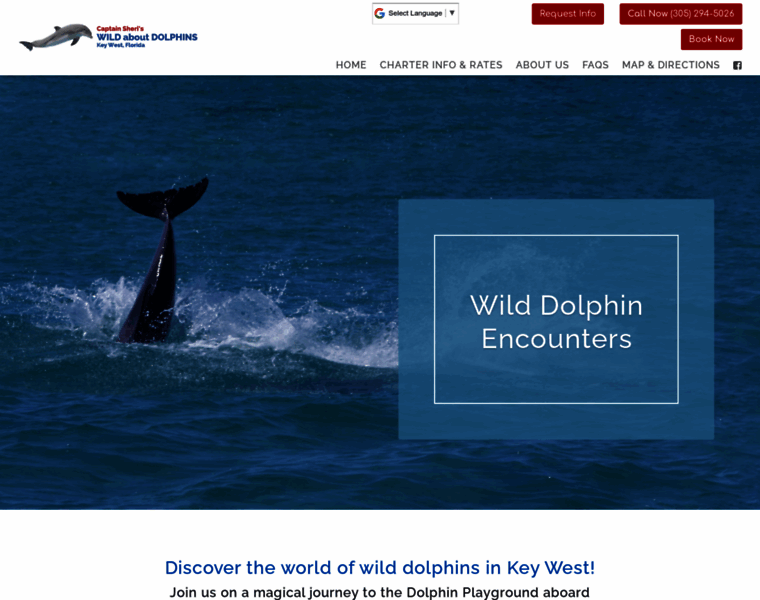 Wildaboutdolphins.com thumbnail