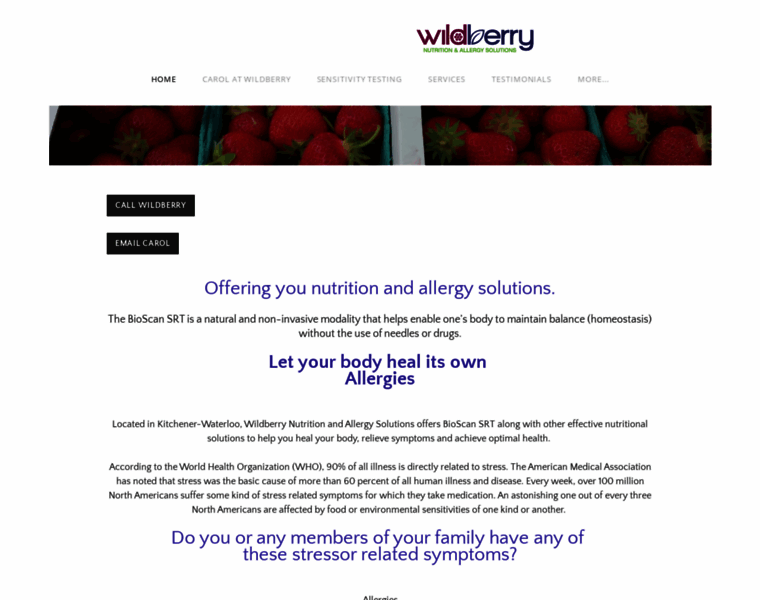 Wildberrynutrition.ca thumbnail