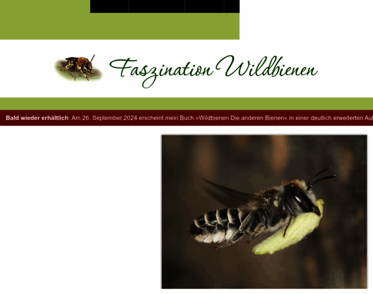 Wildbienen.info thumbnail